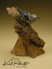 "Black and White Warbler"